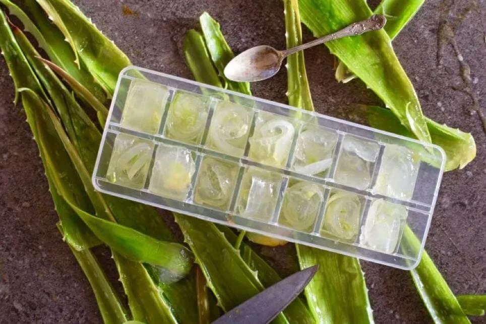 Cubes cosmétiques à l'aloès
