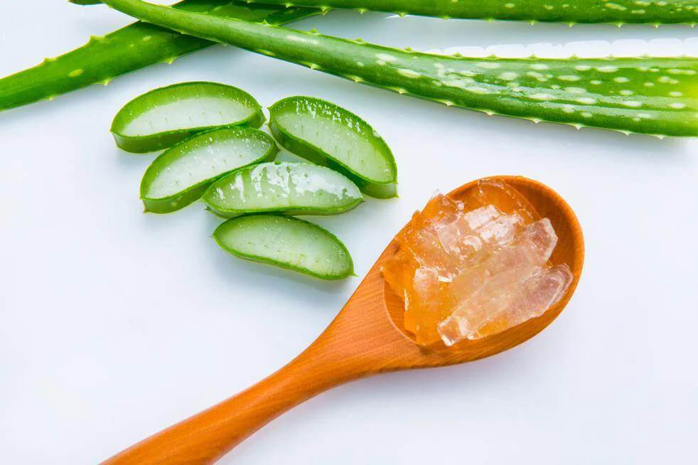Recette du gel d'aloès