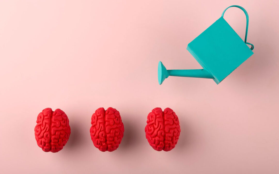 Aliments pour le cerveau : Quels aliments sont bons pour le cerveau et la mémoire?