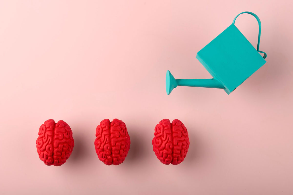 aliments pour le cerveau